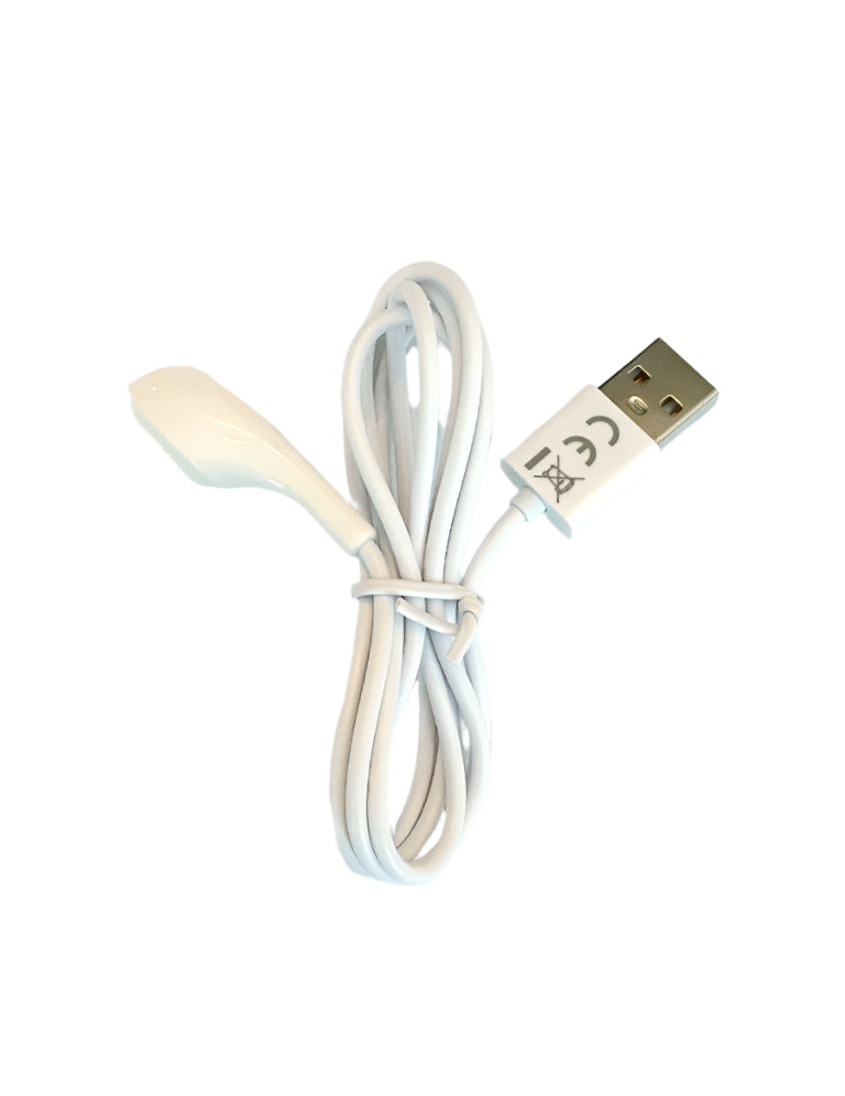 USB Charger - We Vibe