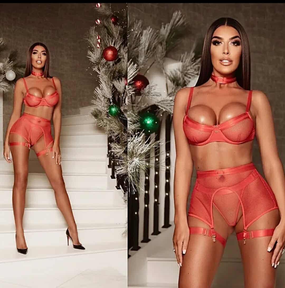 Fishnet Bra Set